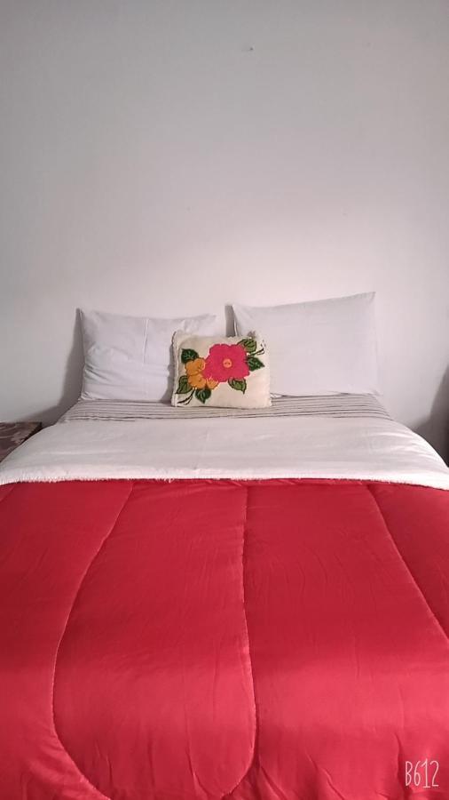 Minha Casa Em *